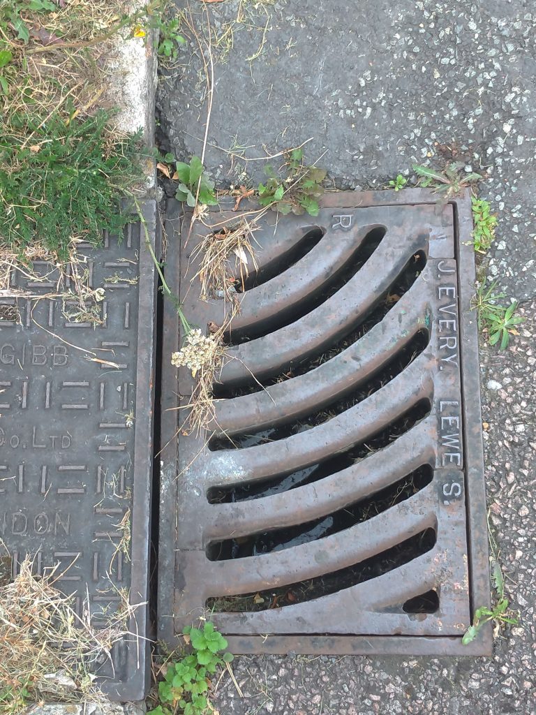 drain with vegetation around it, including yarrow and grass